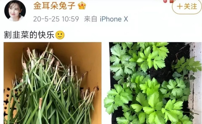 宋喆出狱了看当事4人现状 宋喆前妻的话有人信了（配图32）