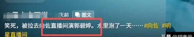 向佐助理撞脸郭碧婷 黑长直、大眼睛完美复刻（配图12）