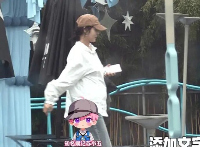 37岁张佳宁疑怀孕 新男友神似欧豪身份成谜（配图1）