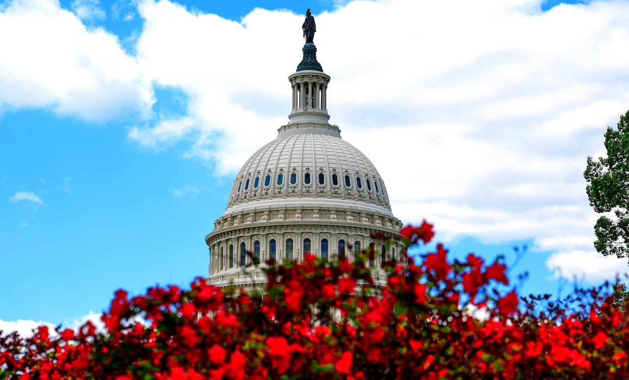 A view of the dome of the U.S. Capitol against a blue sky and white clouds, with red flowers in the foreground.