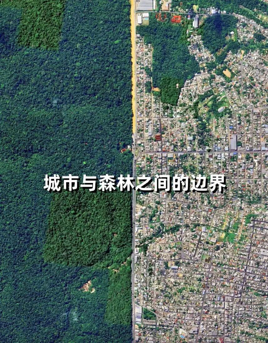 亚马逊雨林深处，竟然有一座200万人的大城市