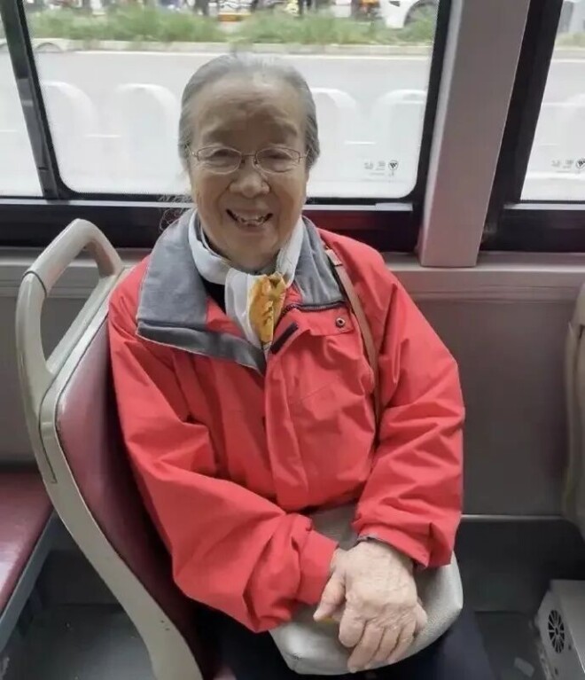 90岁“容嬷嬷”现身菜市场 穿波点长裙素雅大方（配图13）