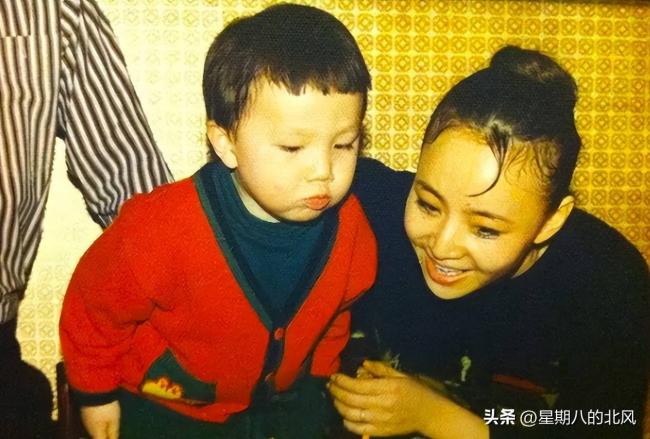 宋丹丹被传12亿身家公证，每月给儿子80万