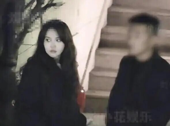 37岁张佳宁疑怀孕 新男友神似欧豪身份成谜（配图13）