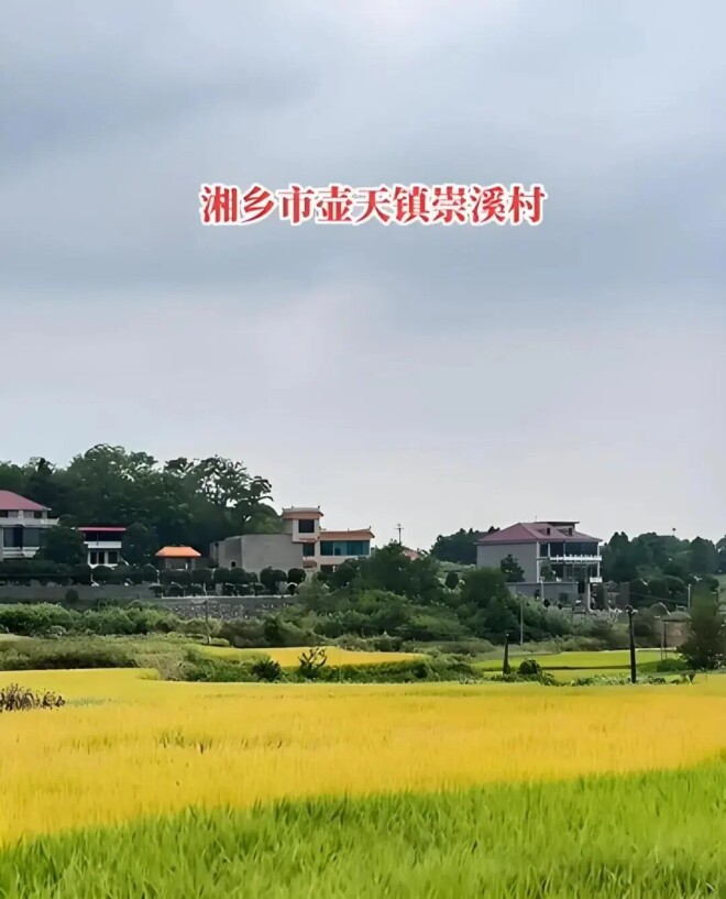 周群飞成中国女首富！父母已离世 她离婚又再婚（配图2）