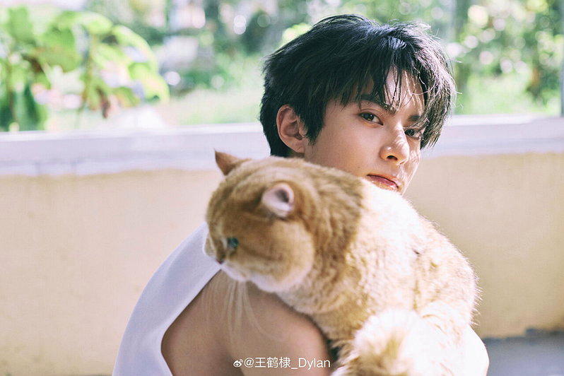 中國人氣男星王鶴棣。圖／截自微博／王鶴棣_Dylan