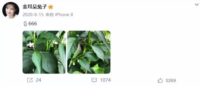 宋喆出狱了看当事4人现状 宋喆前妻的话有人信了（配图34）