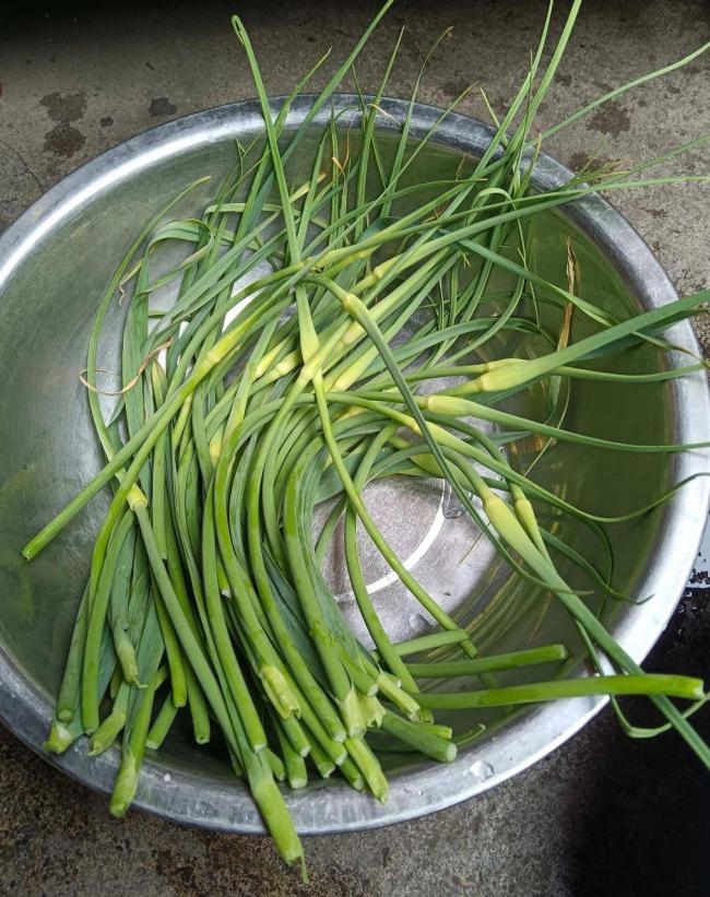 大白菜泡甲醛算什么，这5种蔬菜泡得更多