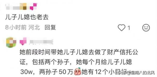 宋丹丹被传12亿身家公证，每月给儿子80万