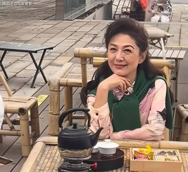 54岁海霞近况：告别《新闻联播》 嫁清华教授（配图11）