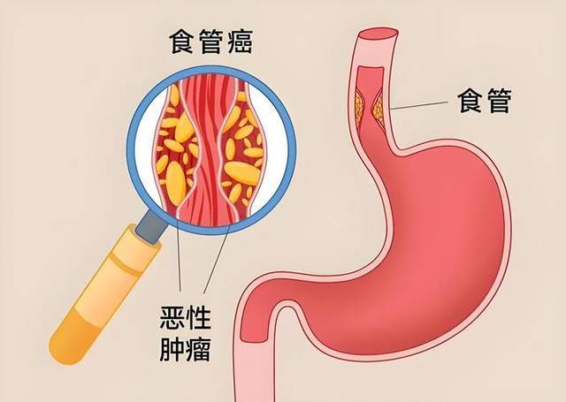 文章配图-2