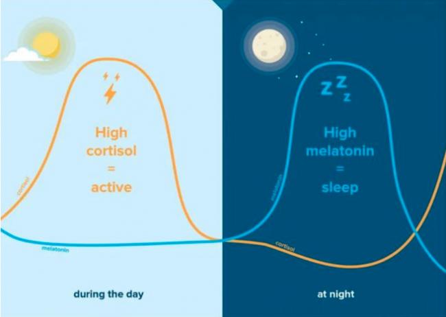 睡前运动到底是助眠还是扰眠？关键在这