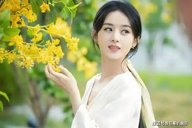 网传85花隐退生二胎 赵丽颖沉寂许久被质疑（配图6）