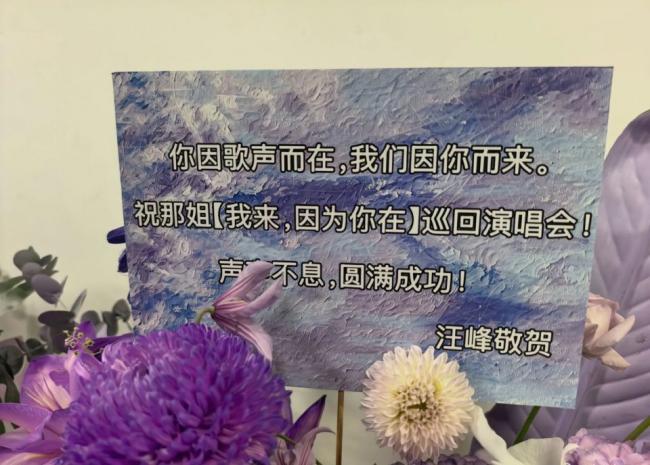 那英北京演唱会刷屏，王菲坐镇、群星闪耀