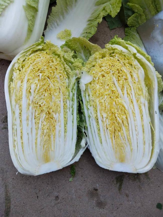 大白菜泡甲醛算什么，这5种蔬菜泡得更多