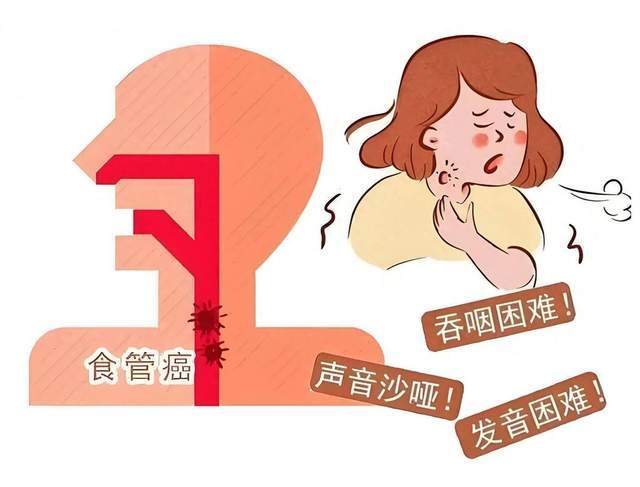 文章配图-3