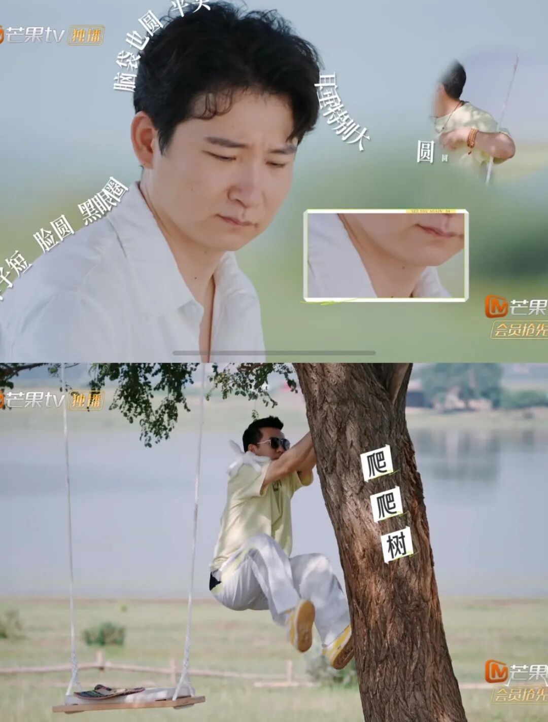 画师画画时，杨子在爬树