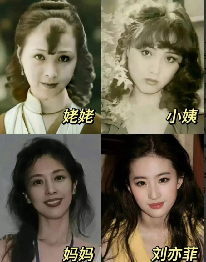 刘亦菲妈妈刘晓莉现身某餐厅 65岁的她发量惊人（配图8）