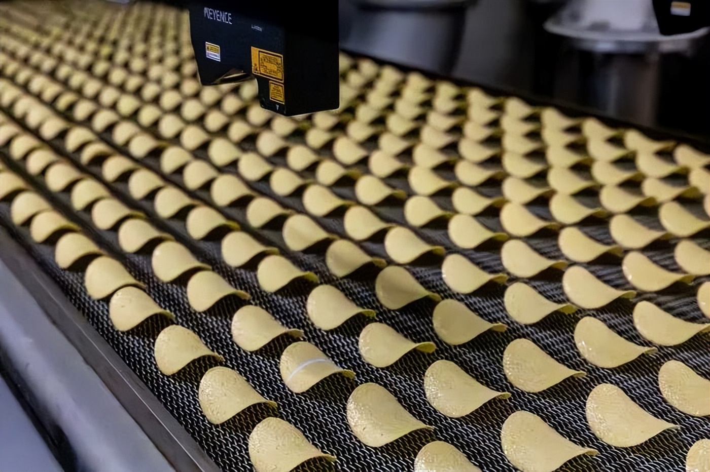 全球首款可食用AI Chip来了