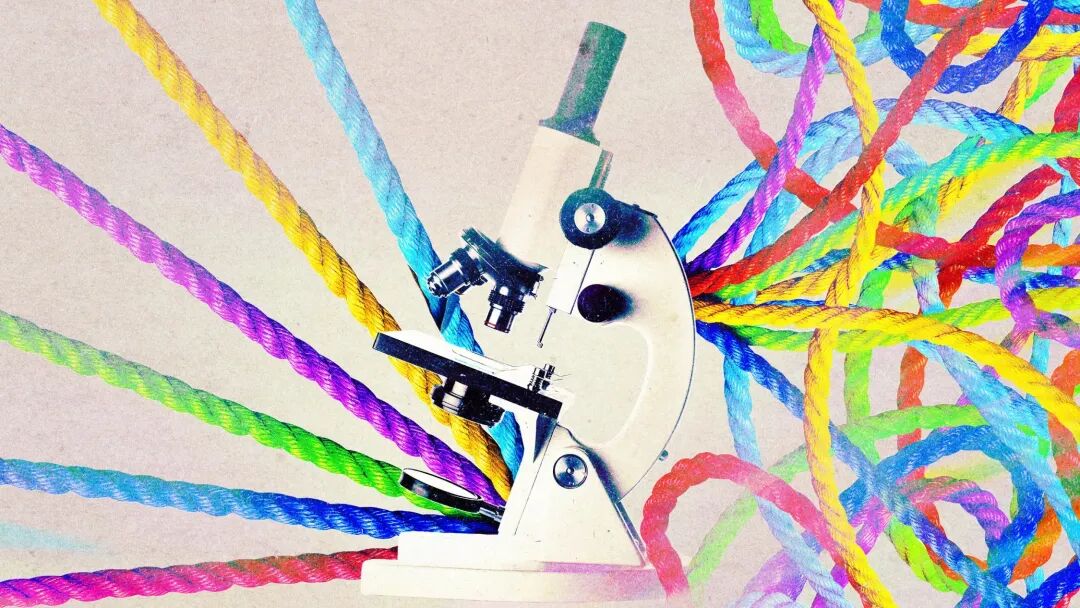 “我们一直都看错了” 创新性观点震撼AI研究界