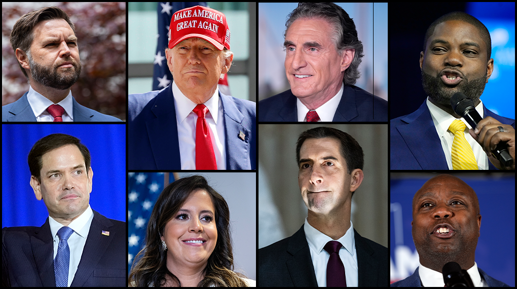 特朗普将任命谁作为他的副总统竞选伙伴？