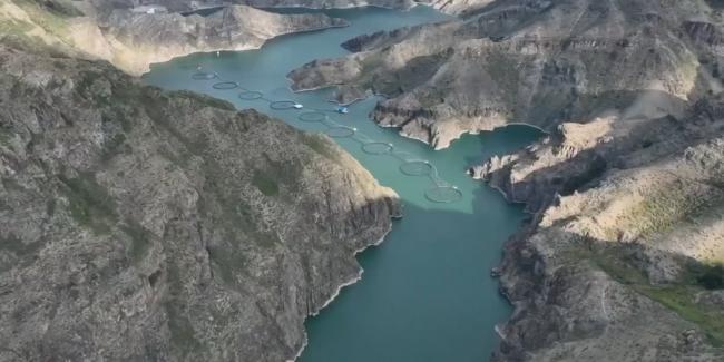 你吃的海鲜背后：水产养殖业的肮脏秘密