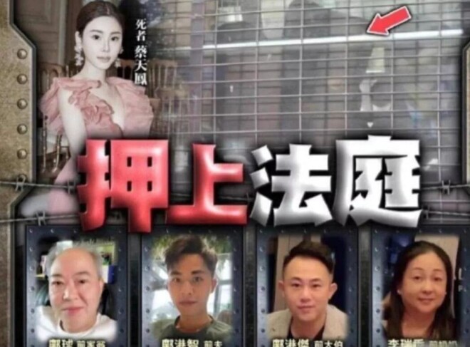 蔡天凤案庭审三凶手法被曝：场面毛骨悚然（配图11）