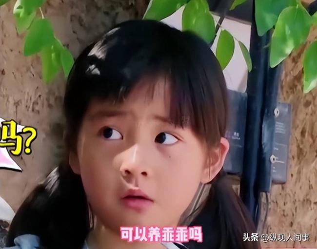 女儿首秀翻车，黄磊孙莉没想到星二代不好混了