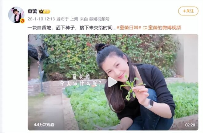 卷入丈夫债务纠纷的女星们：有人硬抗、有人（配图36）