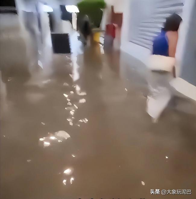 林丹在西班牙被淹的别墅，有多“壕”呢