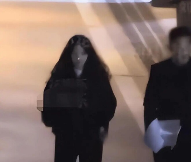 37岁张佳宁疑怀孕 新男友神似欧豪身份成谜（配图15）
