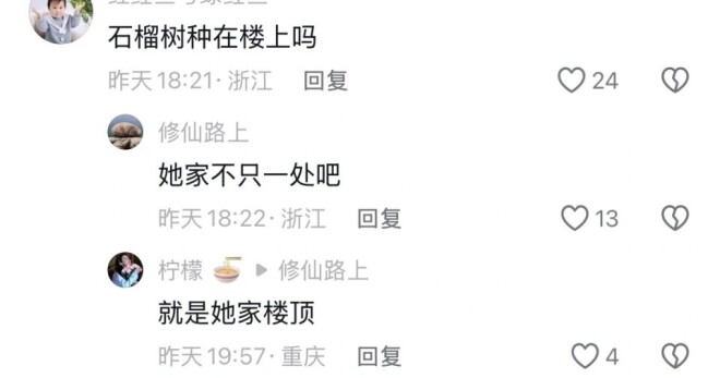 52岁王艳在自家楼顶摘石榴 穿着好清爽（配图13）