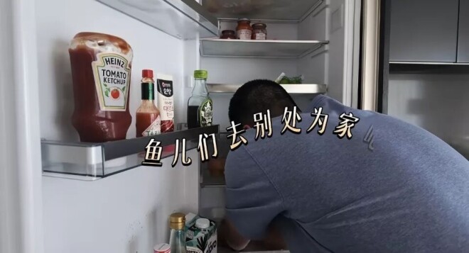 胡军一家在伦敦帮女儿搞卫生 看着好接地气（配图6）