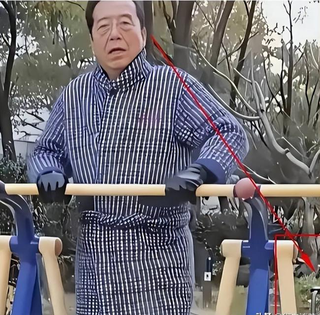 移民澳洲被卡：梦鸽严管李天一 李双江到处商演