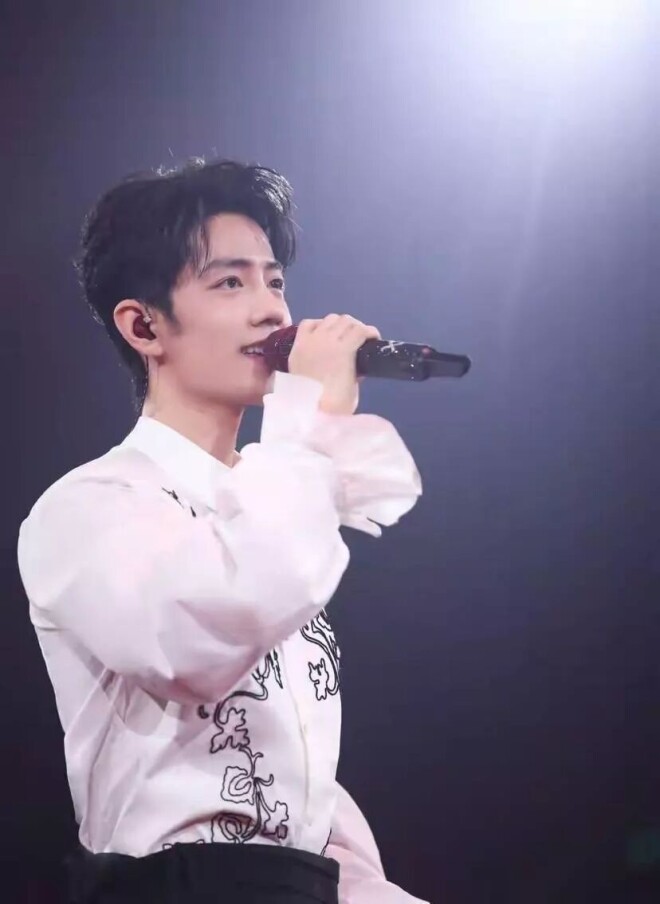 众星现身那英演唱会！王菲到场 肖战当嘉宾（配图18）