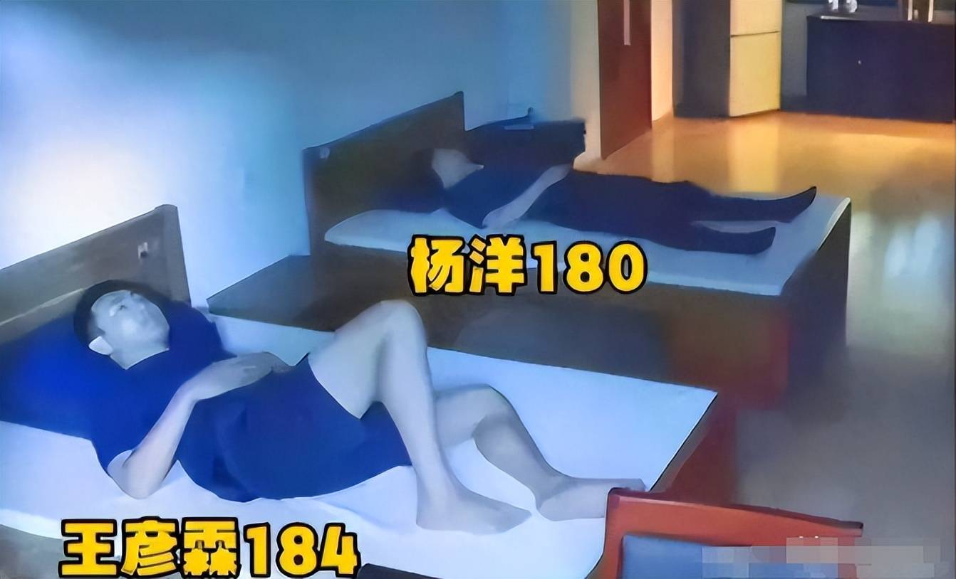 文章配图-16