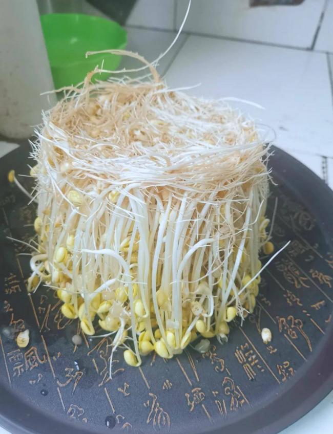 大白菜泡甲醛算什么，这5种蔬菜泡得更多