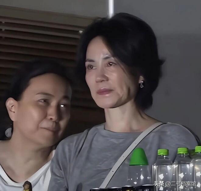 那英演唱会王菲出风头 她身边女人身份更不简单（配图4）