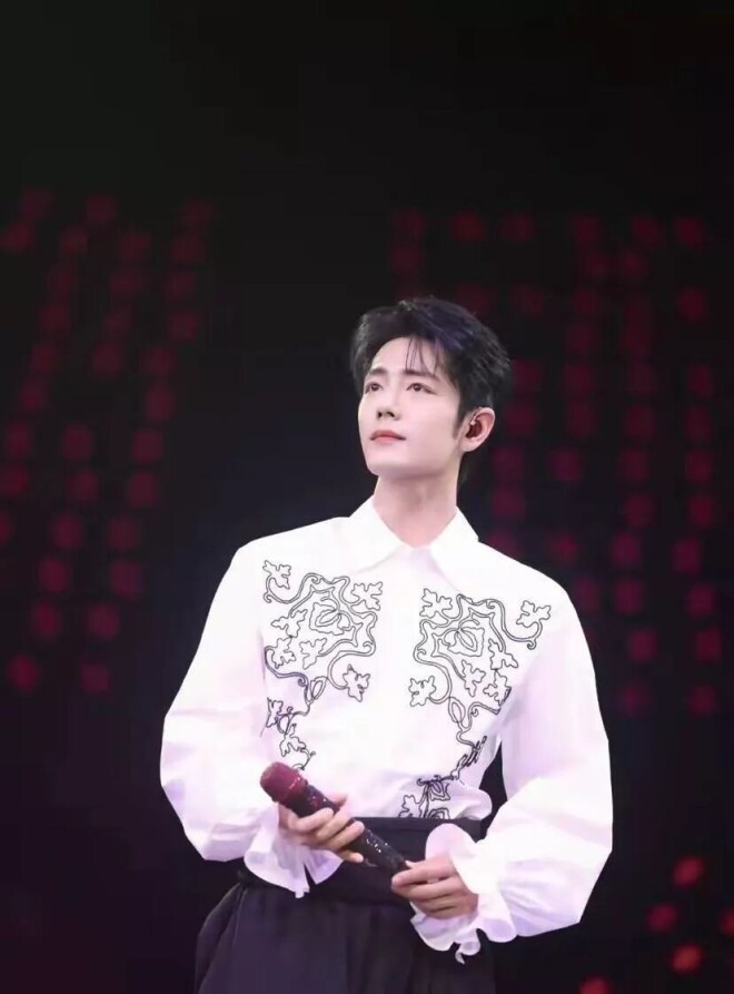 众星现身那英演唱会！王菲到场 肖战当嘉宾（配图16）
