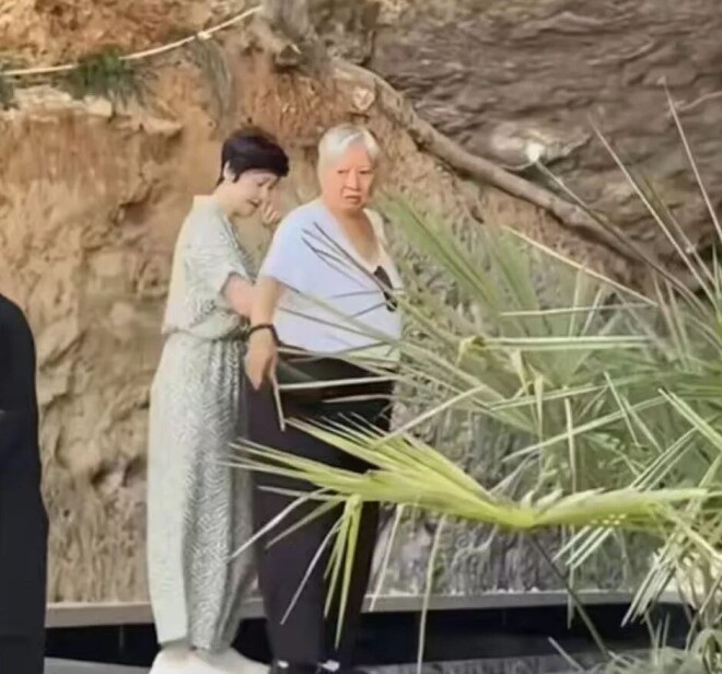 76洪金宝现身恩施 61妻子搀扶他同行（配图2）