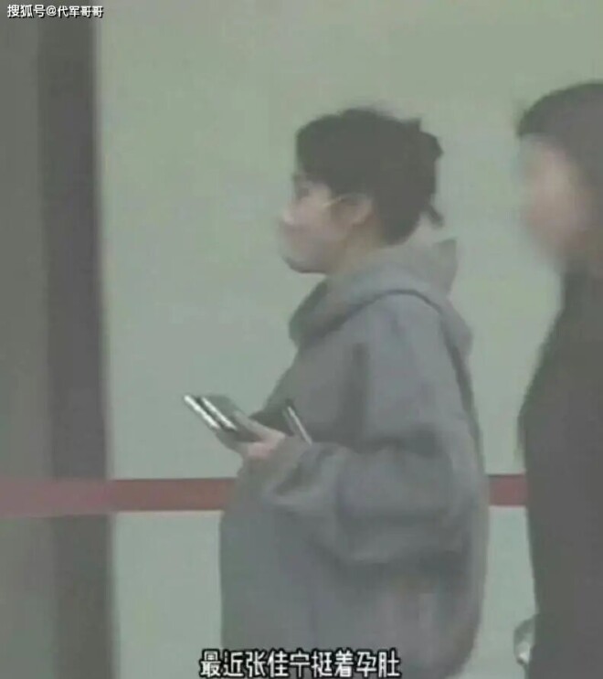 37岁张佳宁：曾经历多段恋情绯闻 如今被传怀孕（配图4）
