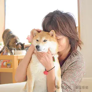 全球最知名狗狗去世！因doge表情包爆火十几年