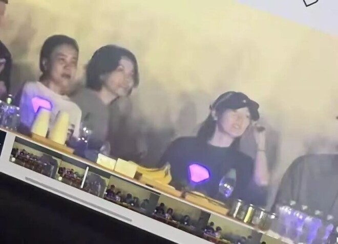 众星现身那英演唱会！王菲到场 肖战当嘉宾（配图5）