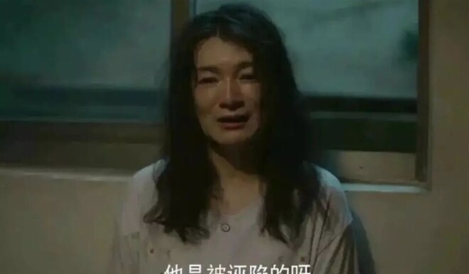 她比刘晓庆还美58岁依旧单身 如今带着母亲生活（配图12）