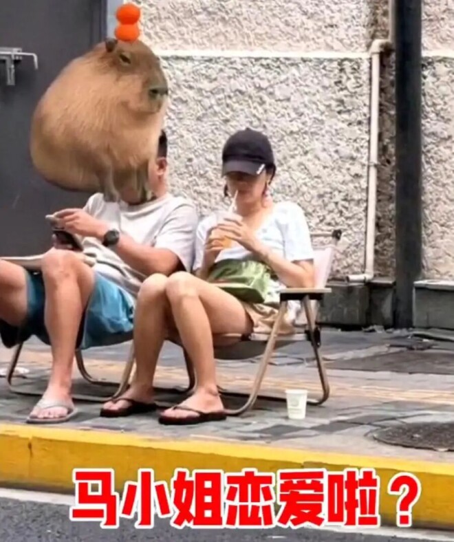 马伊琍恋情曝光 与吴昊宸因戏生情终真相大白（配图1）