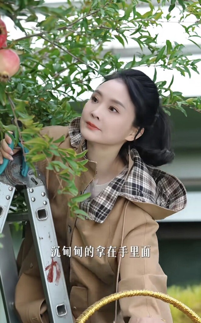 52岁王艳在自家楼顶摘石榴 穿着好清爽（配图23）