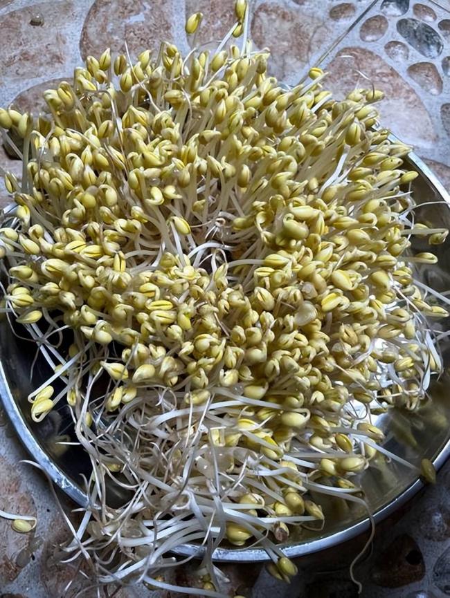 大白菜泡甲醛算什么，这5种蔬菜泡得更多