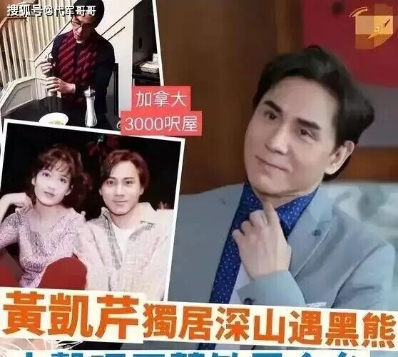 64岁歌手黄凯芹终身未婚却隐育两子 移居加拿大（配图6）
