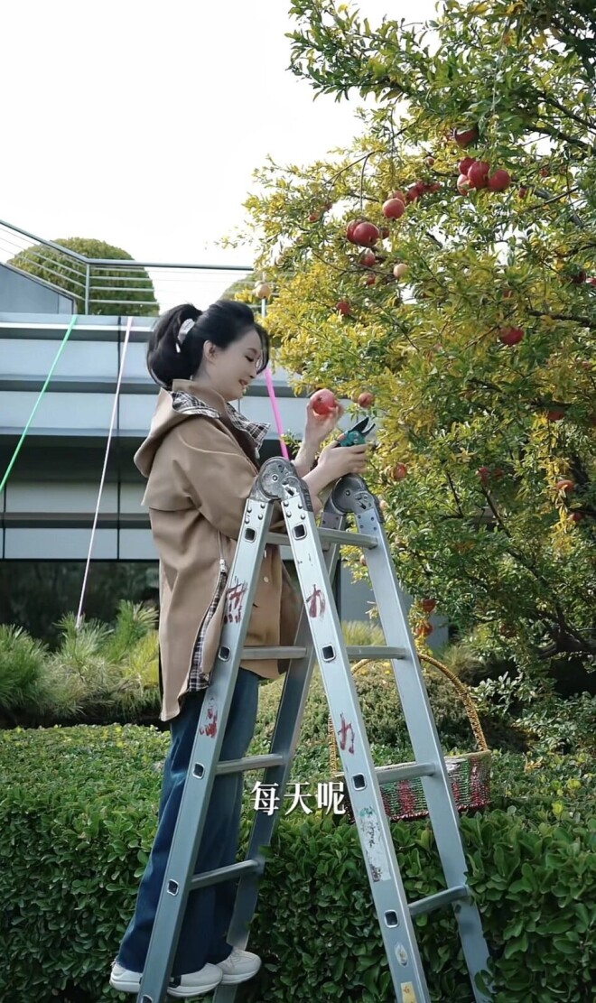 52岁王艳在自家楼顶摘石榴 穿着好清爽（配图9）