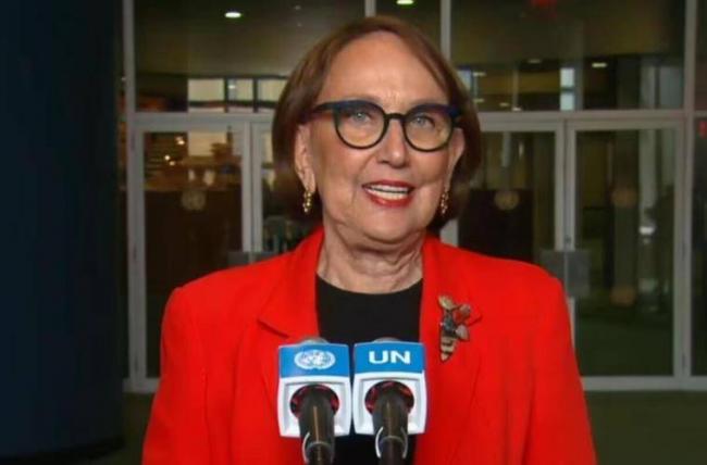 亲华女总统两头得罪 联合国秘书长选举首轮出局